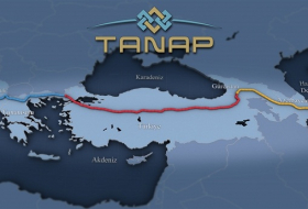 Turkey taking measures to ensure security of BTC, TANAP pipelines 